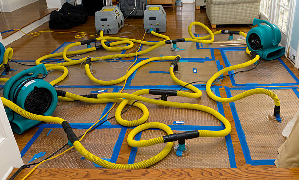 Professional Sewage Cleanup technician working in Richmond, MI
